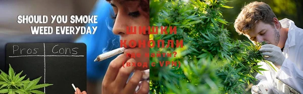 ПСИЛОЦИБИНОВЫЕ ГРИБЫ Балабаново